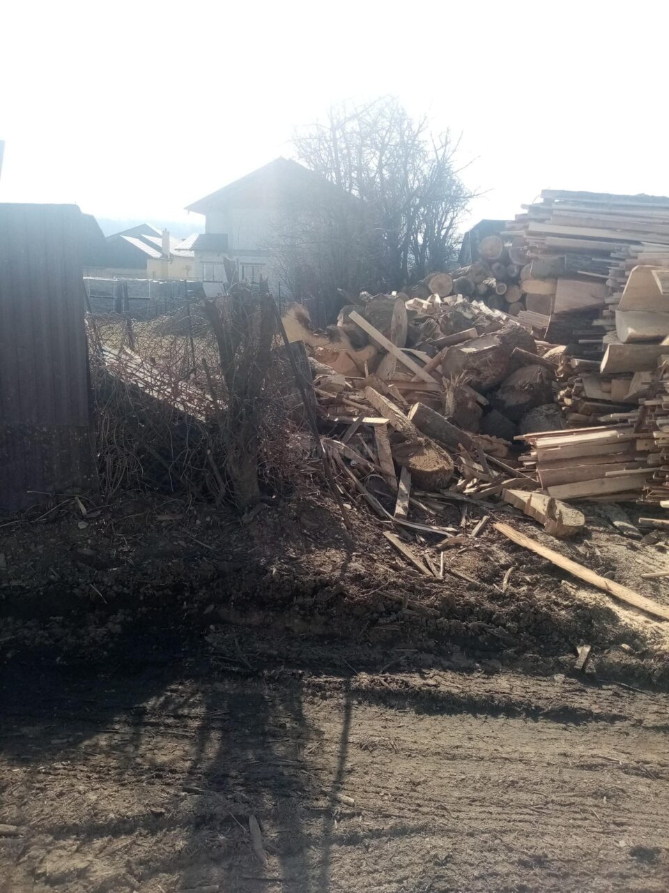 Deșeuri din lemn peste gardurile proprietăților