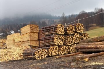 Materiale lemnoase pentru care nu a fost dovedită proveniența legală, idenficicate de Garda Forestieră Suceava în urma controalelor de la Brodina