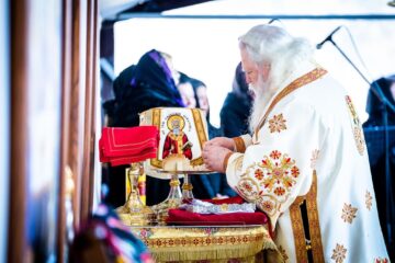 „Unde este comoara ta, acolo va fi și inima ta” – Exegeză la Evanghelia Duminicii Izgonirii lui Adam din Rai