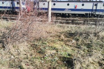 Gunoaiele aruncate aproape de liniile de cale ferată au fost stranse de reprezentanții CFR Suceava
