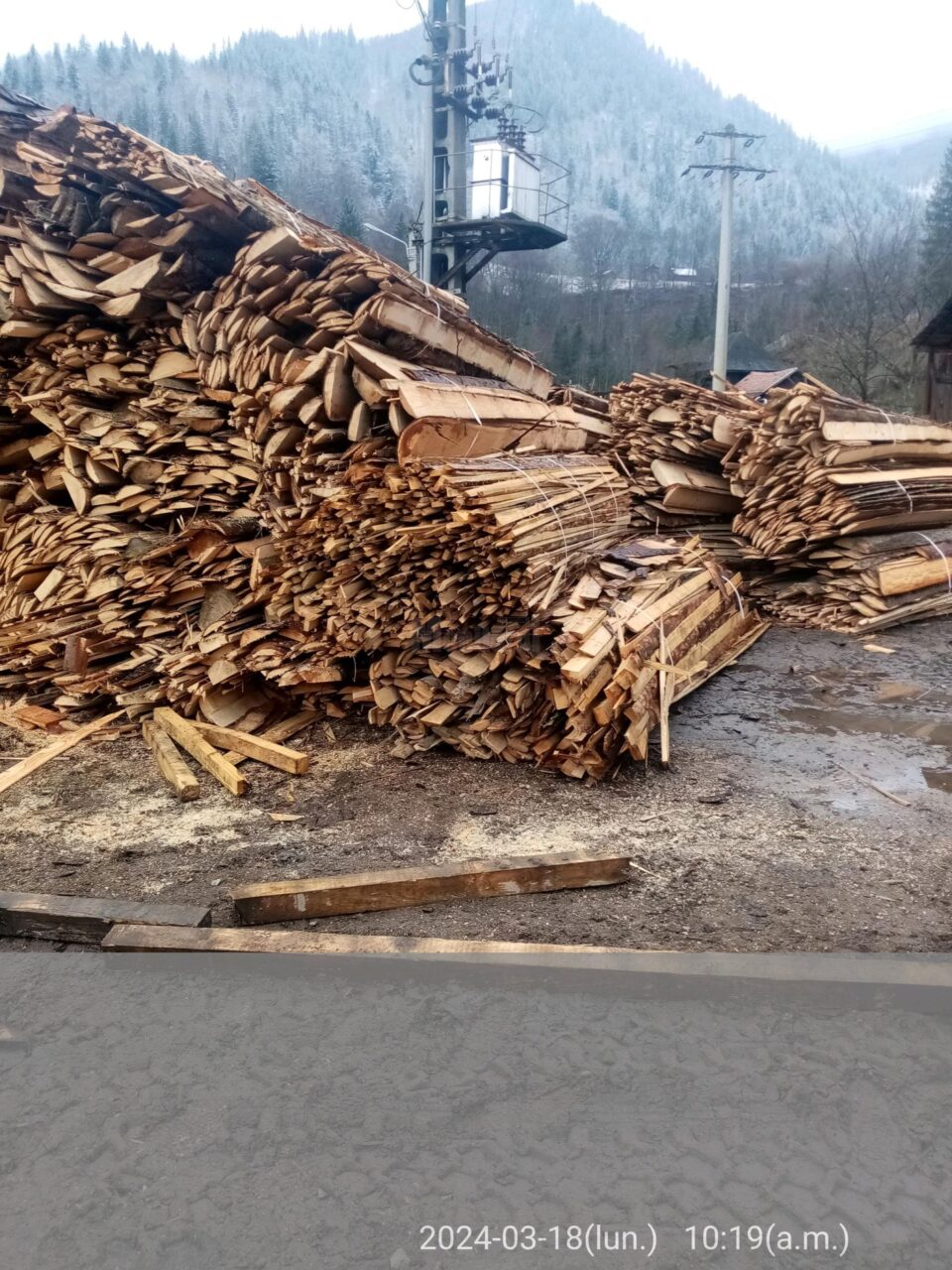 Material lemnos Broșteni
