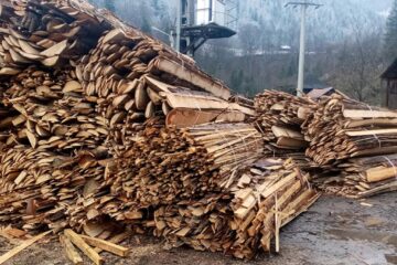 Amendă de 10.000 de lei pentru un gaterist din Broșteni