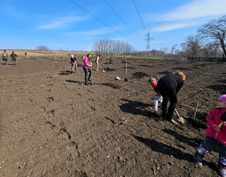“Livada copiilor”,  înființată cu voluntari pe terenul unde a copilărit George Enescu