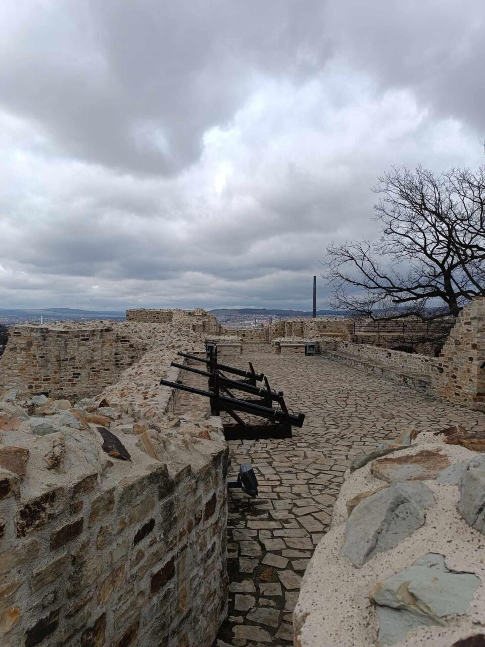 Cetatea de Scaun a Sucevei
