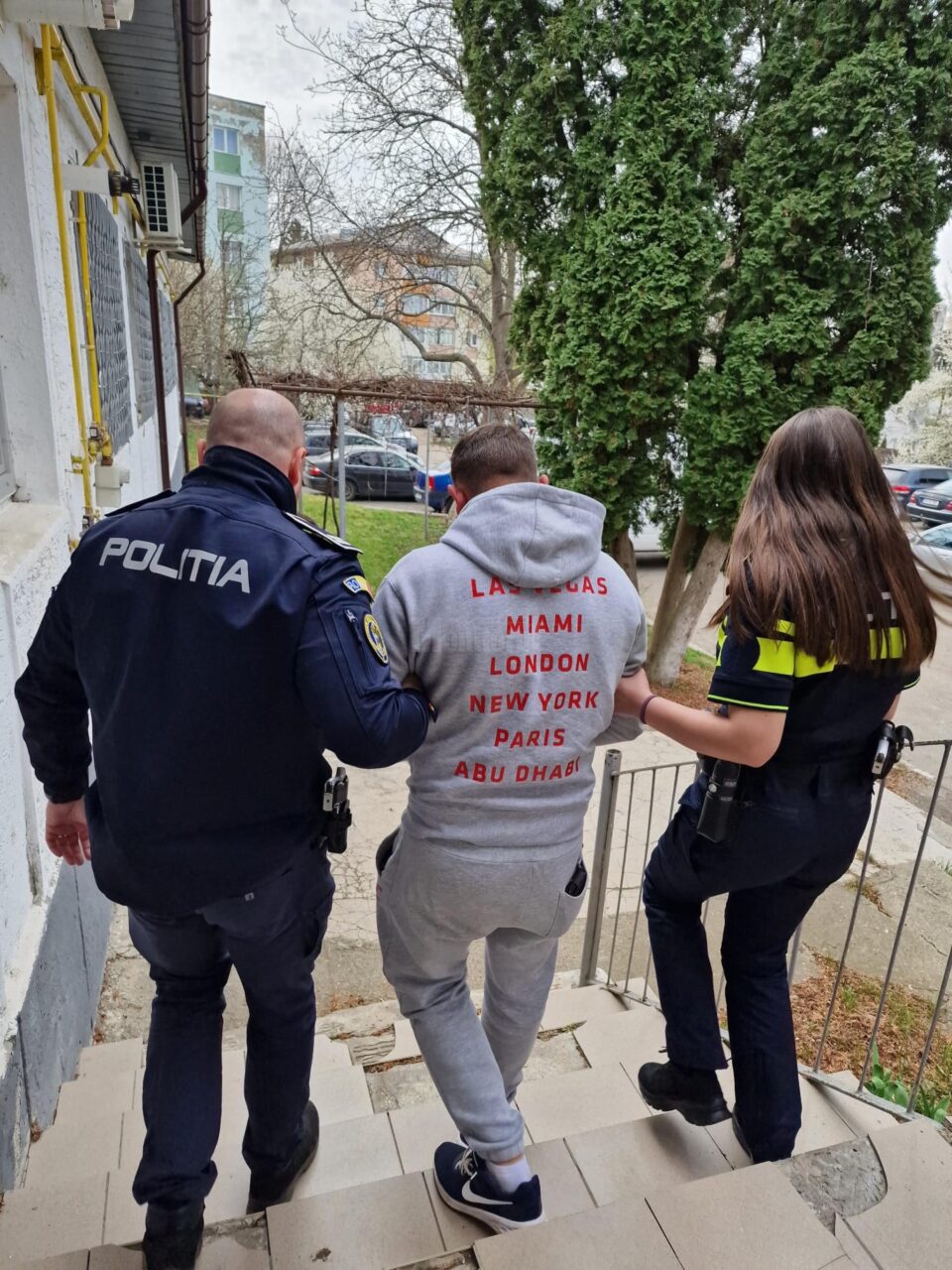Un bărbat care a trântit de pământ o oaie a fost reținut de polițiști