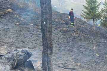 Incendiu de vegeteție