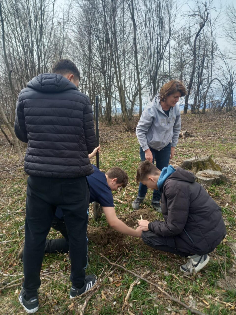 Elevii au plantat arbuști ornamentali în curtea unității școlare și puieți de paltin în apropierea comunei Todirești