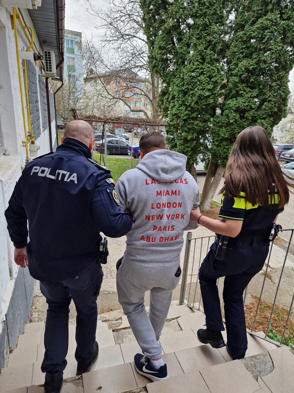 Un bărbat care a trântit de pământ o oaie a fost reținut de polițiști