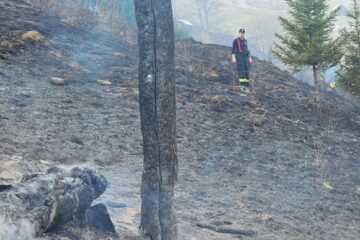 Incendiu de vegeteție