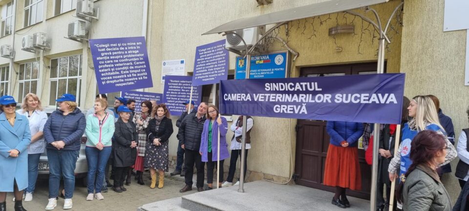 Salariații de la Direcția Sanitar Veterinară Suceava au început proteste în fața instituției