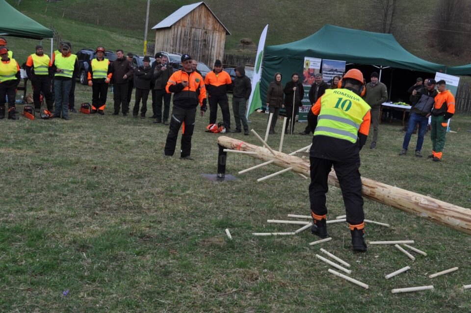 Concursul ”Cel mai bun fasonator”, faza pe județ, desfășurat la Ocolul Silvic Vama
