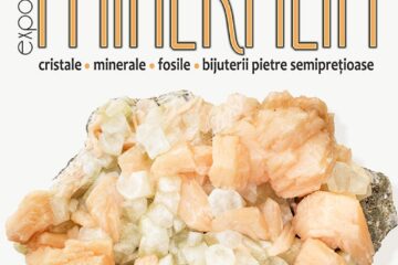 „Mineralia”, ediția de primăvară, la Muzeul de Științele Naturii