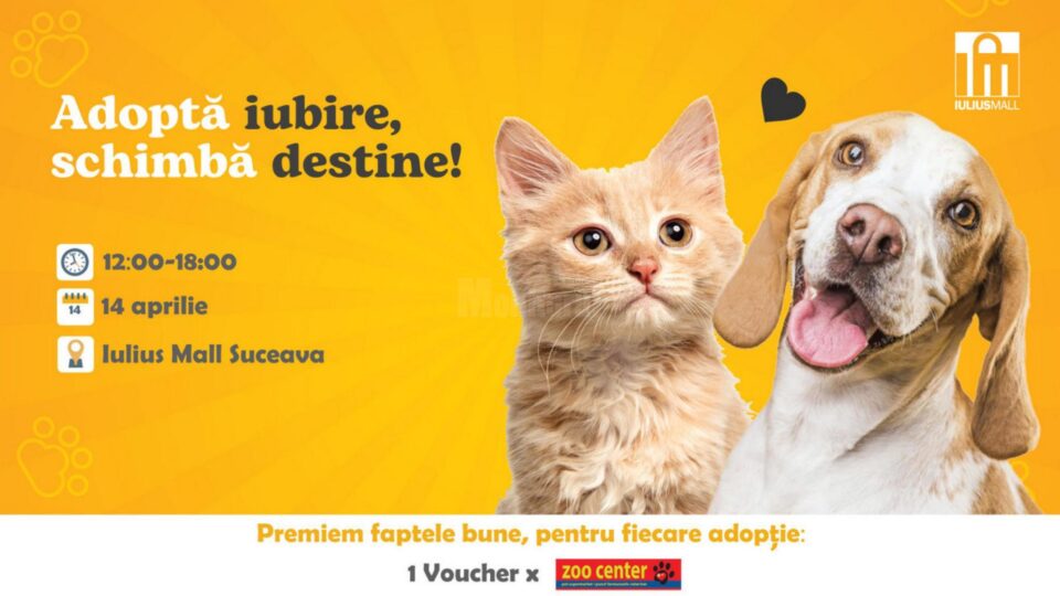 Duminică, de la ora 12.00, la parterul Iulius Mall, va avea loc Târgul de adopție de căței și pisici – ”Adoptă iubire! Schimbă destine!” Duminică, de la ora 12.00, la parterul Iulius Mall, va avea loc Târgul de adopție de căței și pisici – ”Adoptă iubire! Schimbă destine!”