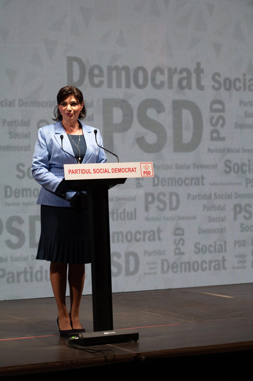 Președinta Organizației Județene a Femei a PSD Suceava, Larisa Blanari. Foto artistul.studio