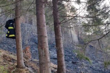 17 incendii de vegetație scăpate de sub control, pe aproximativ 26 de hectare
