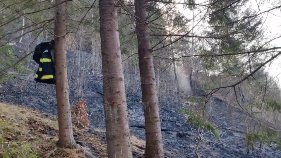17 incendii de vegetație scăpate de sub control, pe aproximativ 26 de hectare