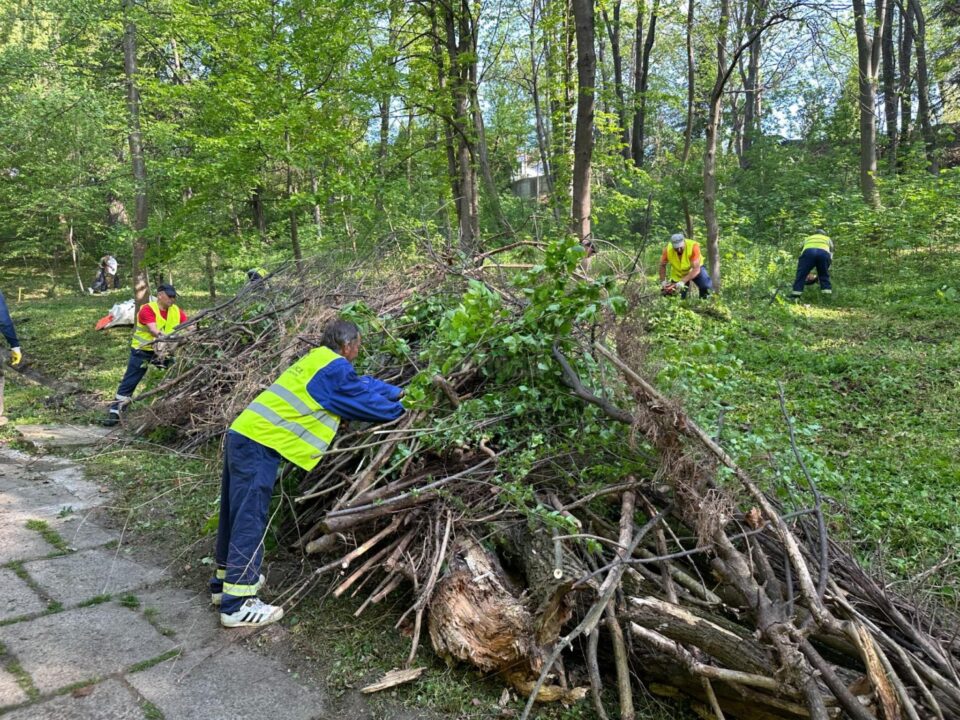 Acțiune de igienizare în Parcul Șipote, inițiată de Primăria Suceava împreună cu Direcția Silvică Suceava