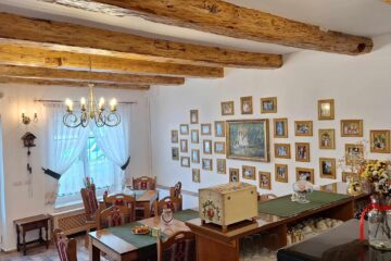 În centrul Rădăuțiului s-a deschis Ceainăria „Regatul Sânzienelor”, un „tărâm” al aromelor și al poveștilor