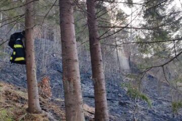 17 incendii de vegetație scăpate de sub control, pe aproximativ 26 de hectare