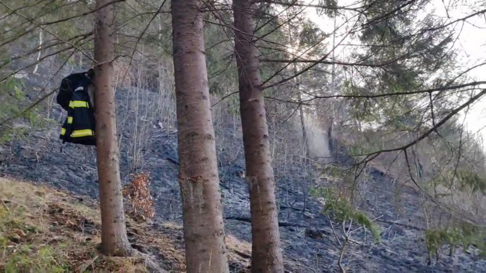 17 incendii de vegetație scăpate de sub control, pe aproximativ 26 de hectare