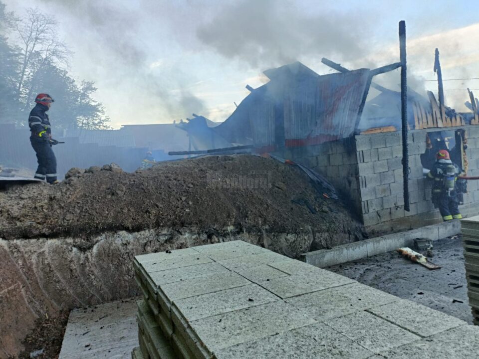 Un adăpost de animale, dar și cantități mari de furaje au ars într-un incendiu