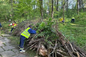 Acțiune de igienizare în Parcul Șipote, inițiată de Primăria Suceava împreună cu Direcția Silvică Suceava