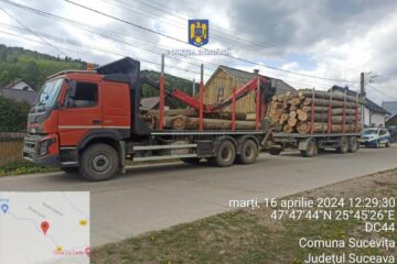 Autotren de 60.000 de euro, confiscat de polițiști după un transport de lemn efectuat fără pornirea acestuia în aplicația oficială SUMAL