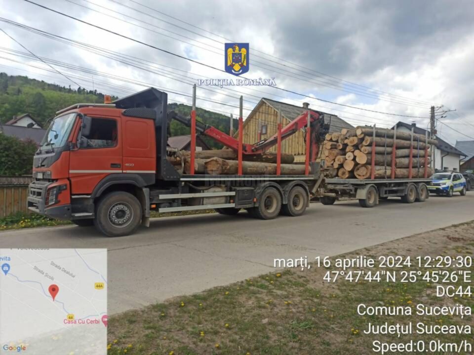 Autotren de 60.000 de euro, confiscat de polițiști după un transport de lemn efectuat fără pornirea acestuia în aplicația oficială SUMAL
