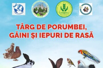 Targ de porumbei, gaini si iepuri de rasa