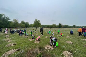 Peste 250 de elevi și preșcolari au participat la o acțiune de împădurire la Adâncata