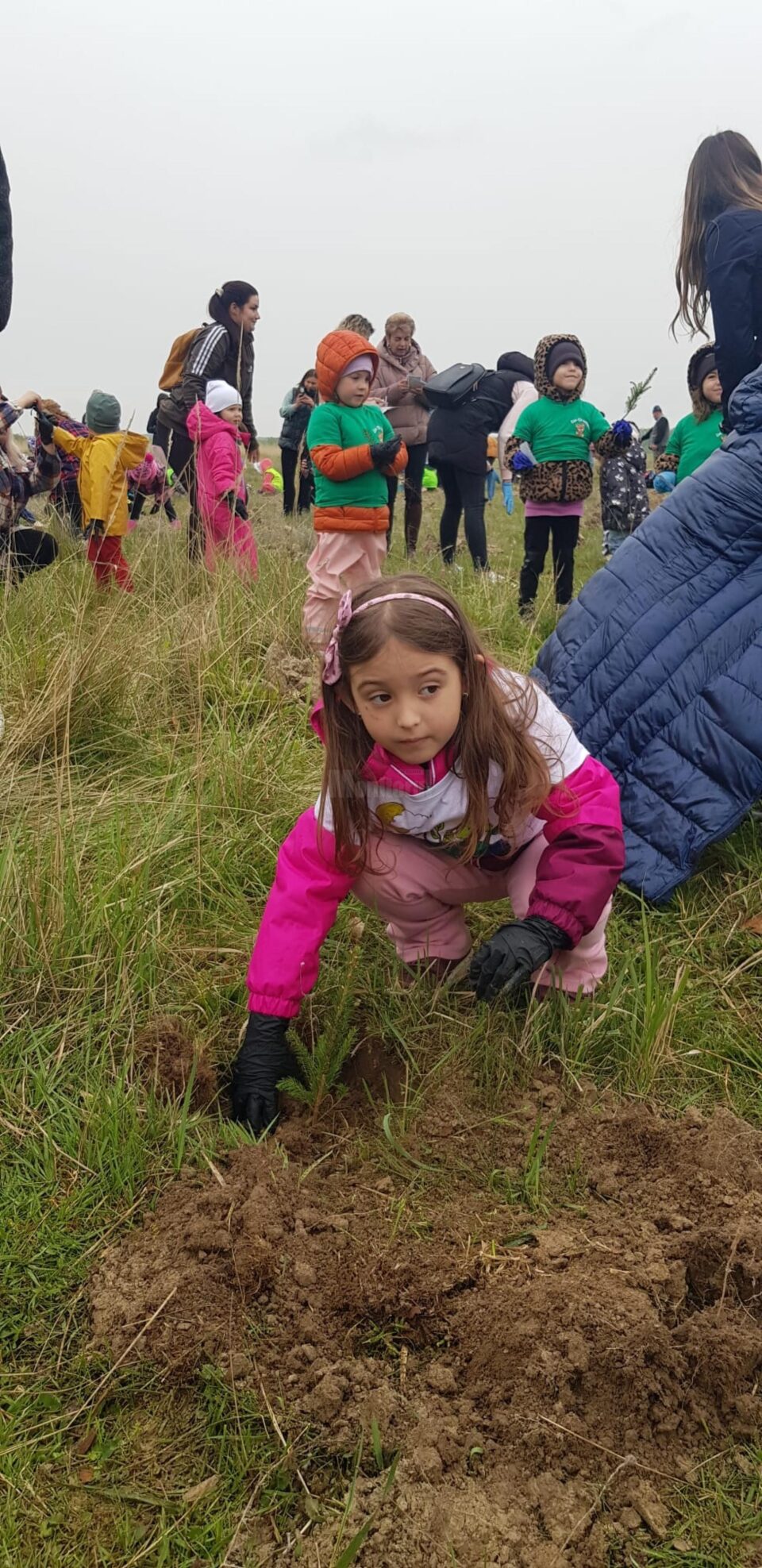 Peste 250 de elevi și preșcolari au participat la o acțiune de împădurire la Adâncata