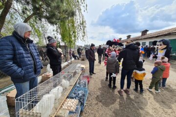 Târgul de păsări și animale de la Ferma Ițcani, bucurii pentru cei mici și cei mari