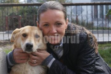Campanie de sterilizare gratuită în Suceava. Disponibilitatea de 400 de intervenții s-a epuizat în 24 de ore