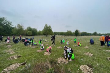Peste 250 de elevi și preșcolari au participat la o acțiune de împădurire la Adâncata