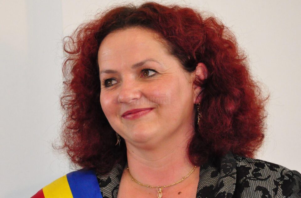Primarul din Berchișești, Violeta Țăran