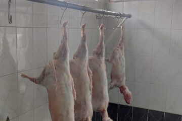 La ce prețuri se vor vinde mieii de la crescătorii din jurul Sucevei