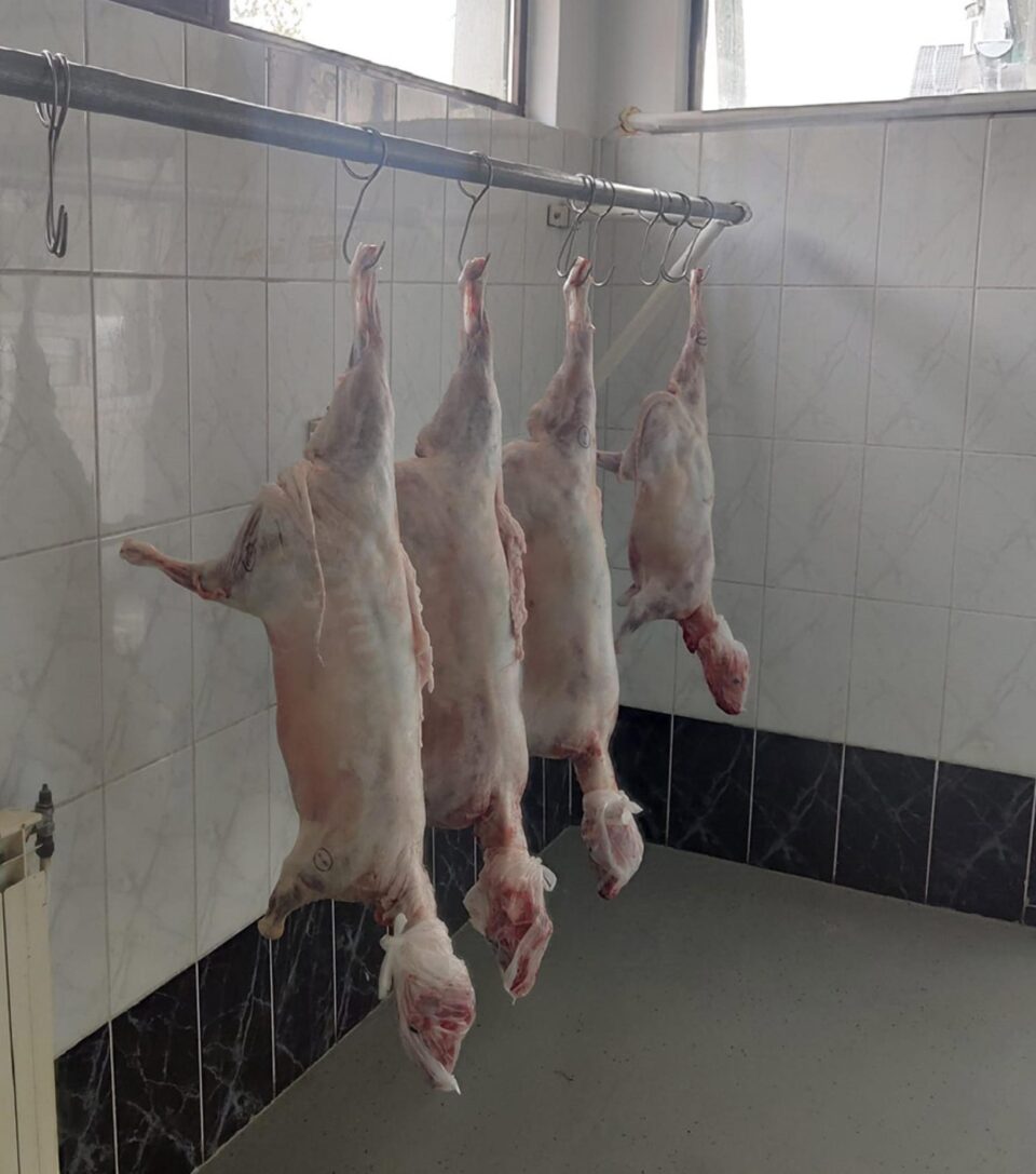 La ce prețuri se vor vinde mieii de la crescătorii din jurul Sucevei