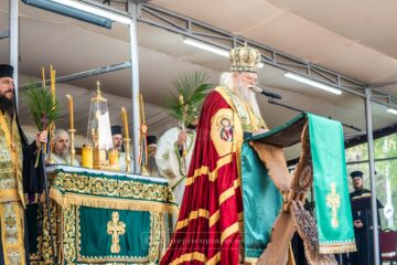 „Osana!” versus „Răstignește-L! Răstignește-L!” – Predica Înaltpreasfințitului Părinte Calinic la Duminica Floriilor