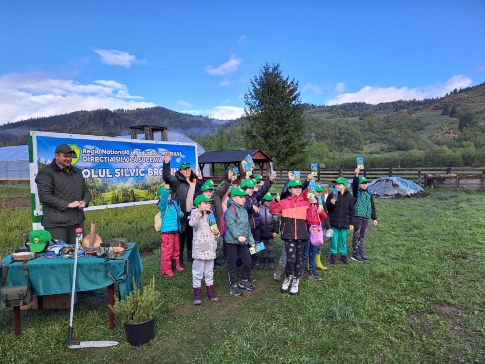 Elevii Școlii „Bogdan Vodă” Rădăuți au plantat puieți de brad, molid și stejar, în „Săptămâna verde”