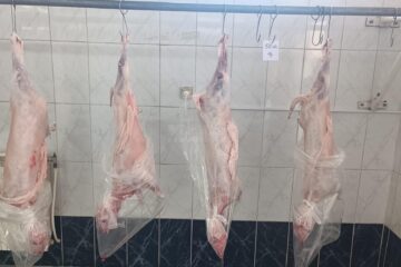 Au apărut mieii pe piața suceveană. Se vând cu 50 de lei/kg