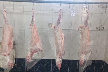 Au apărut mieii pe piața suceveană. Se vând cu 50 de lei/kg