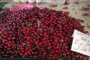 Au apărut cireșele în piețele sucevene. Prețul este destul de piperat