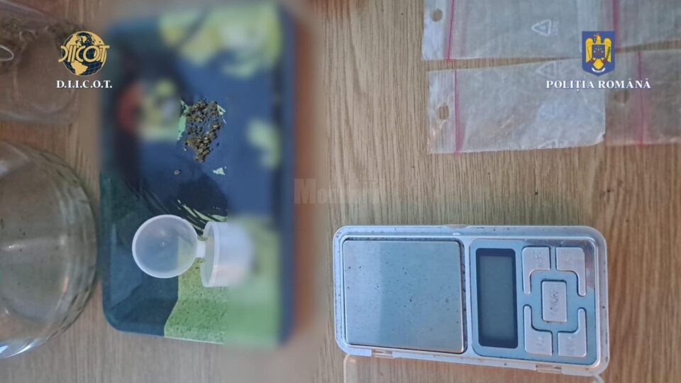 Descinderi DIICOT la Vatra Dornei, la dealeri care alimentau piața locală cu droguri de risc și de mare risc