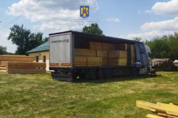 Două autotrenuri care transportau fiecare peste 50 mc cherestea, confiscate de polițiști pentru transporturi ilegale