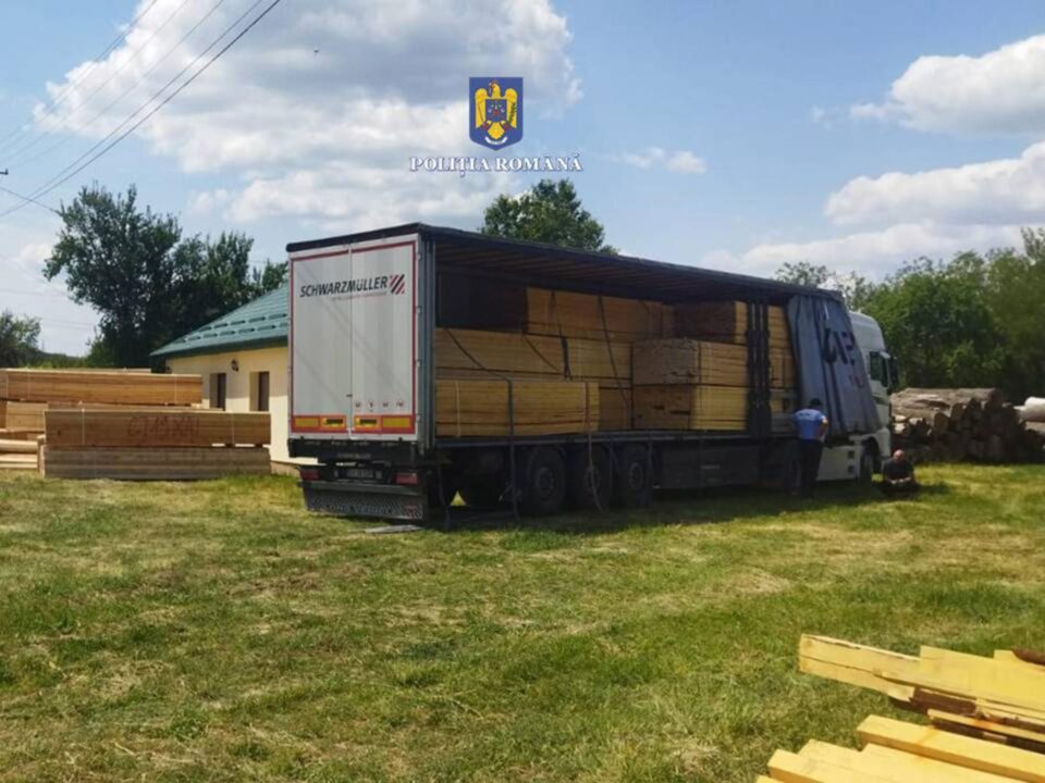 Două autotrenuri care transportau fiecare peste 50 mc cherestea, confiscate de polițiști pentru transporturi ilegale Două autotrenuri care transportau fiecare peste 50 mc cherestea, confiscate de polițiști pentru transporturi ilegale