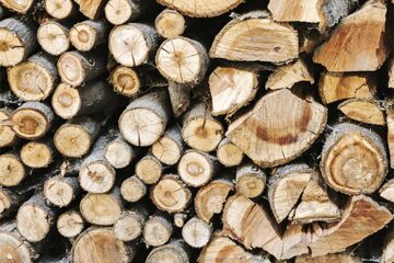 Aproape 1.300 mc de lemn de foc disponibil la două ocoale silvice