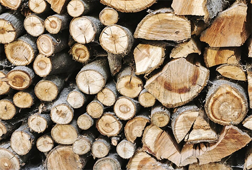 Aproape 1.300 mc de lemn de foc disponibil la două ocoale silvice