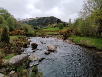 Erasmus în Dublin