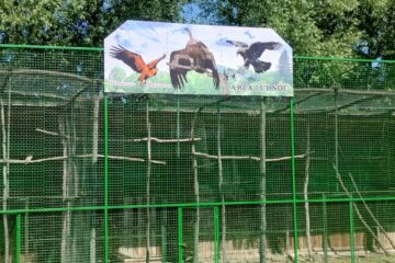„Arca lui Noe”, cu peste 470 de exemplare de animale și păsări, deschisă la Zaharești