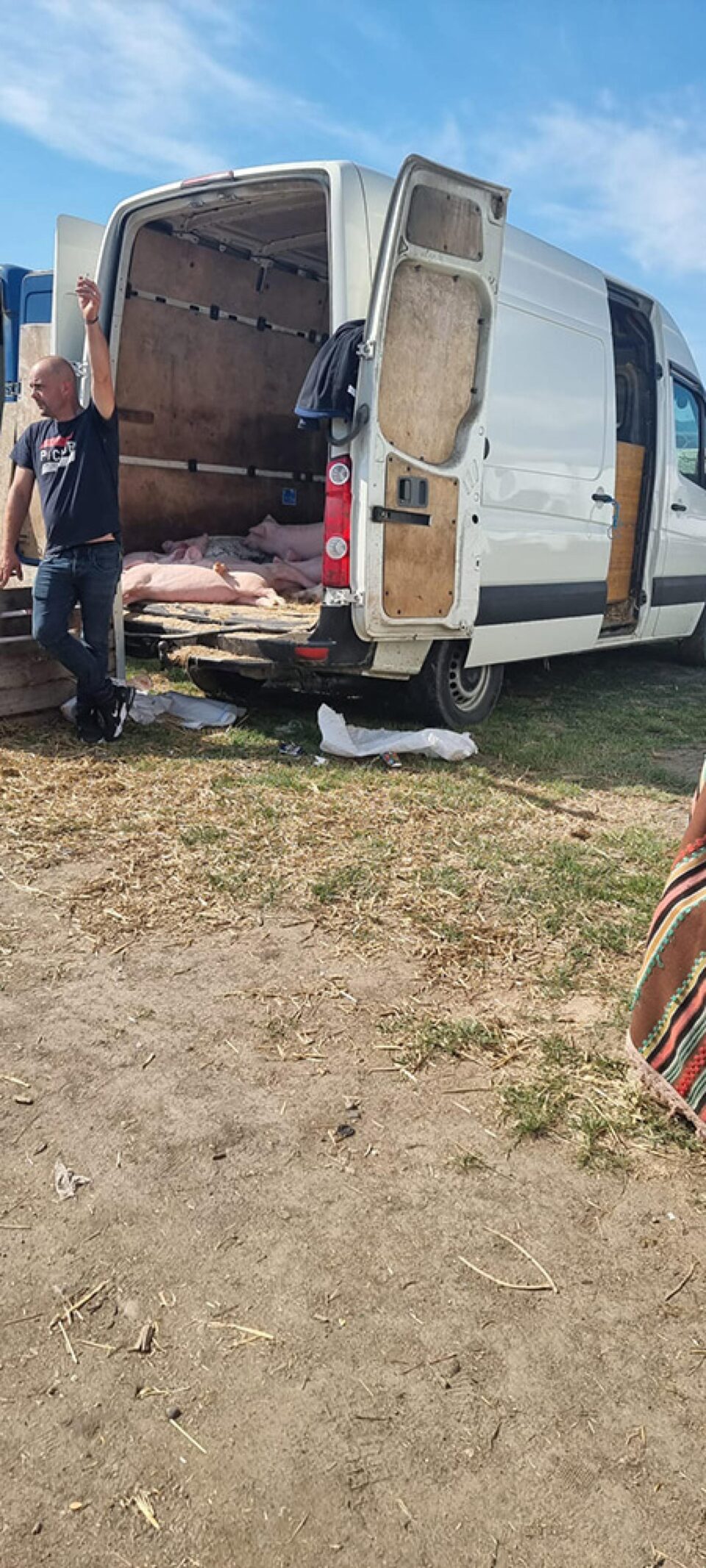 Așa se vând porcii în Piața Verești